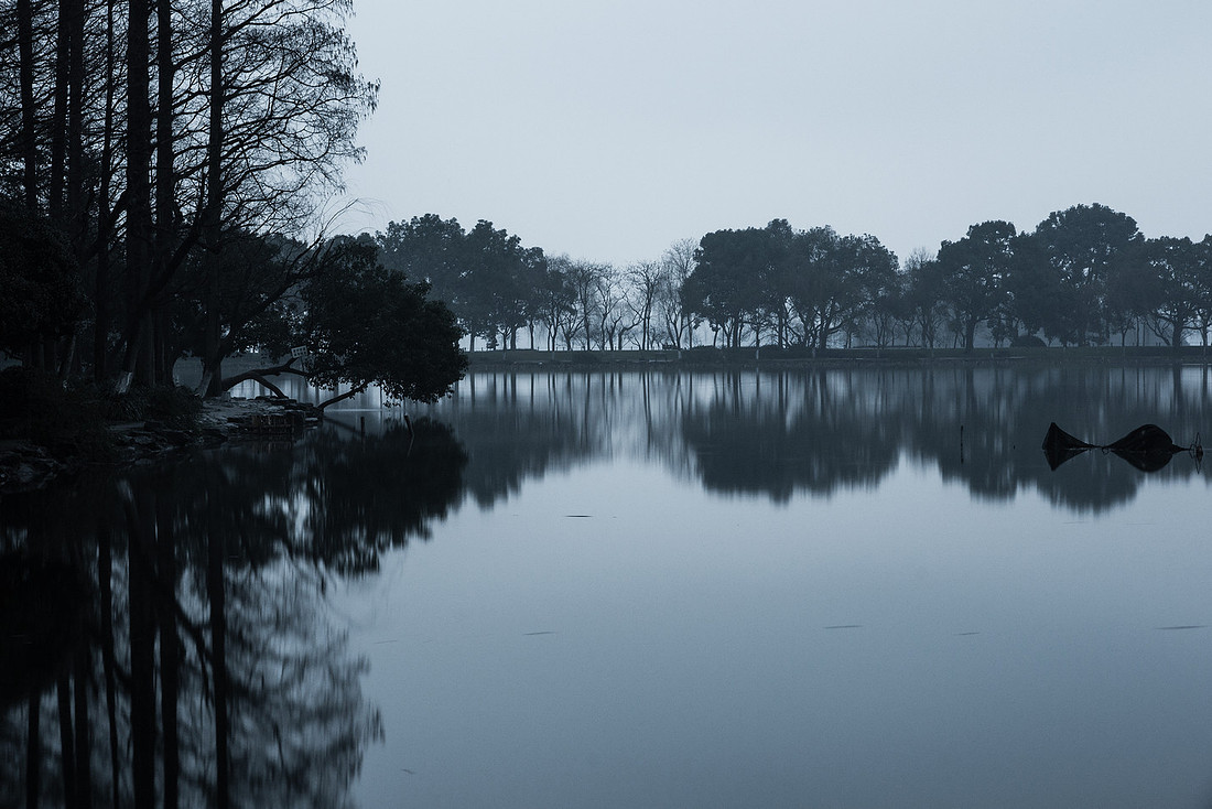 A Moment Frozen in Time