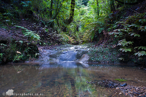 Dark Stream