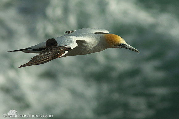 Glide