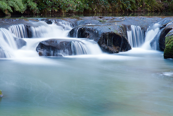 Mokoroa Stream