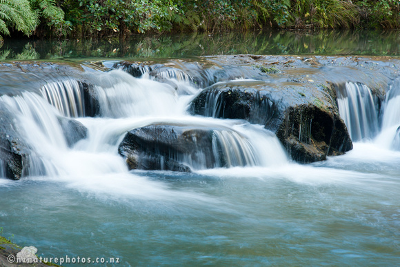 Mokoroa Stream