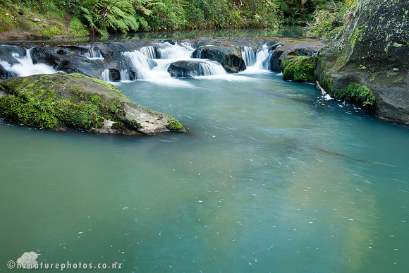 Mokoroa Stream