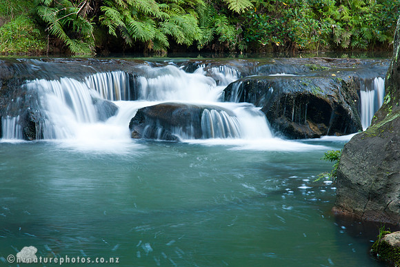 Mokoroa Stream