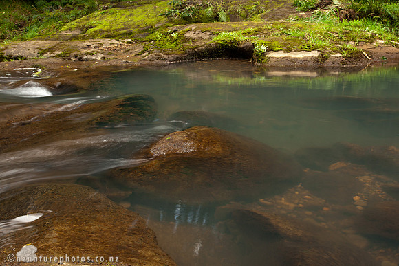 Mokoroa Stream