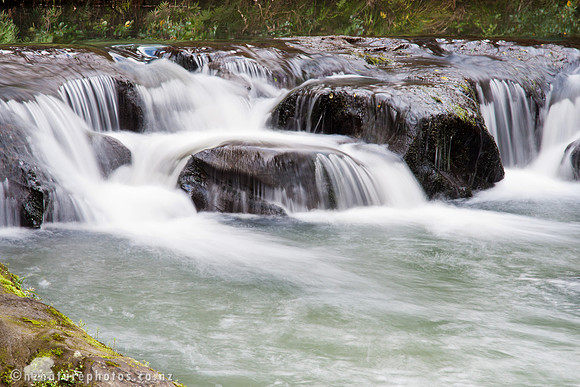 Mokoroa Stream