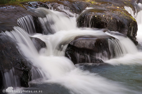 Mokoroa Stream