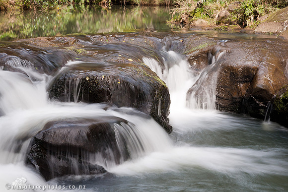 Mokoroa Stream