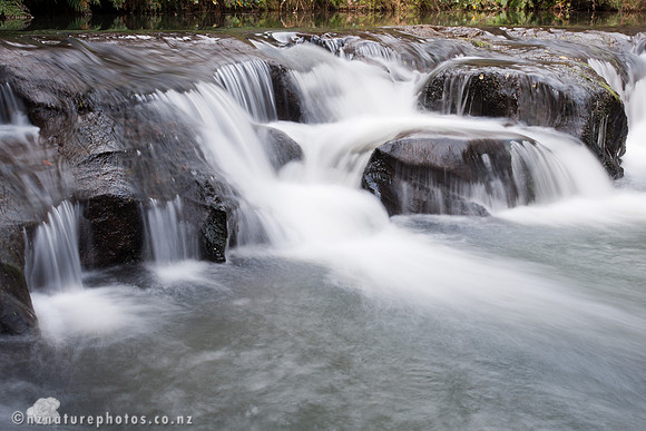 Mokoroa Stream