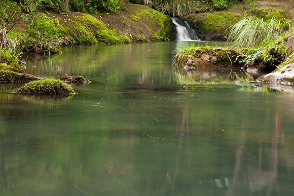 Liquid Green