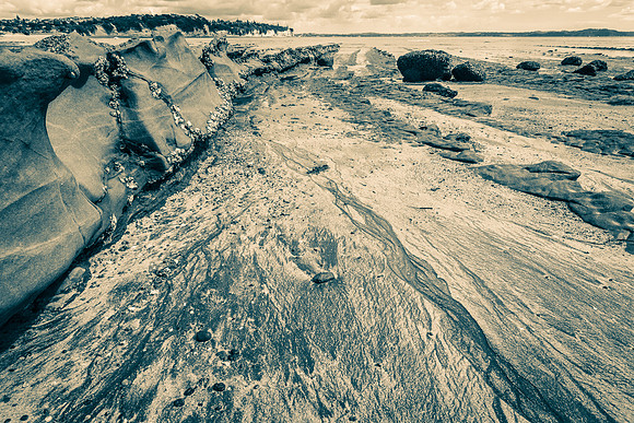 To the sea