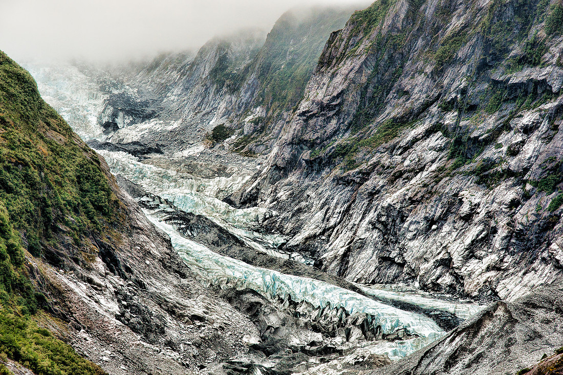 Wild NZ