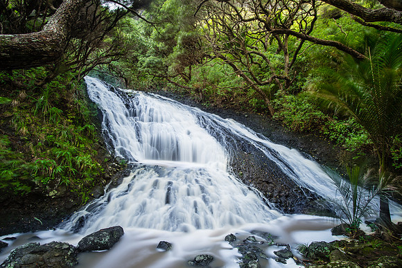 After the Rain: Stream at Karekare