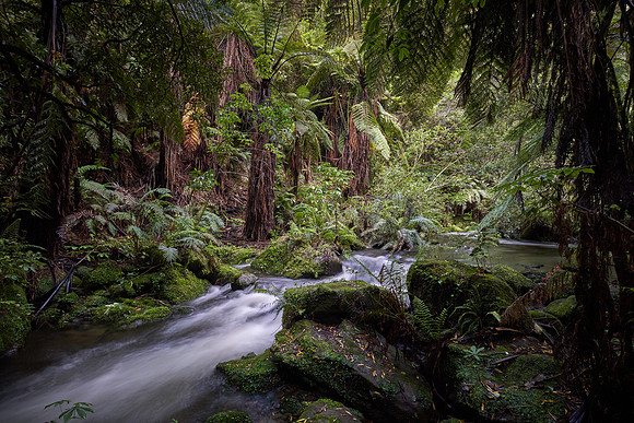 Boundary Stream