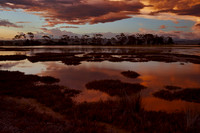 Ahuriri Wetlands