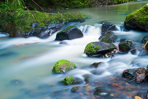 Mossy Rocks