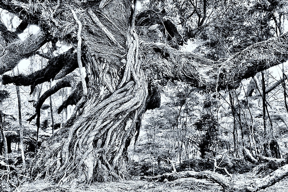 Gothic Tree