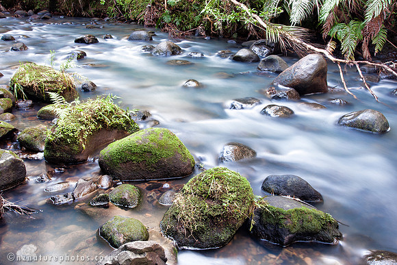 Mossy Stream