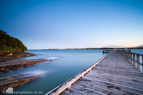 Torpedo Bay