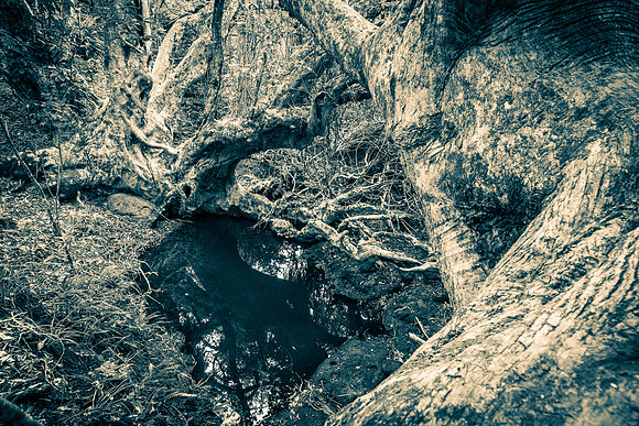 Dark places