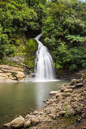 Nihotupu falls