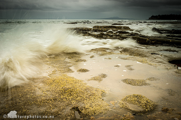 Splash