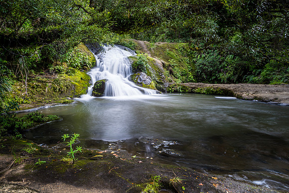 Nihotupu Stream