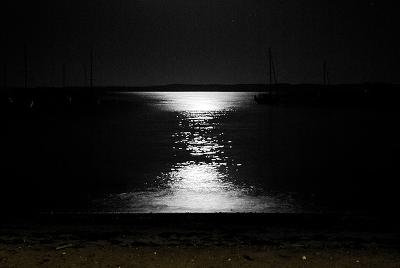 Moonlight over Waiake