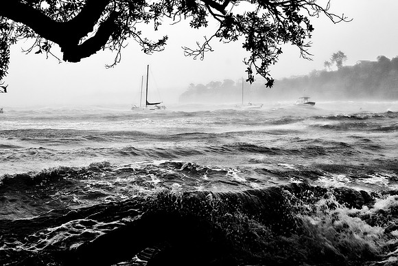 The Storm