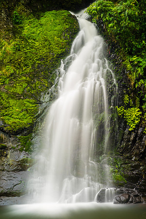 Nihotupu