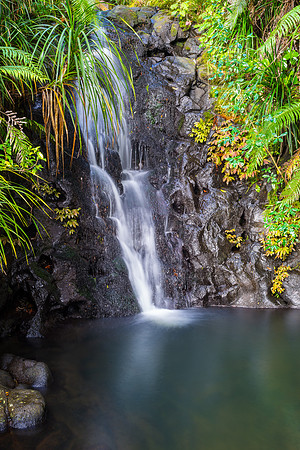 Fairy Falls