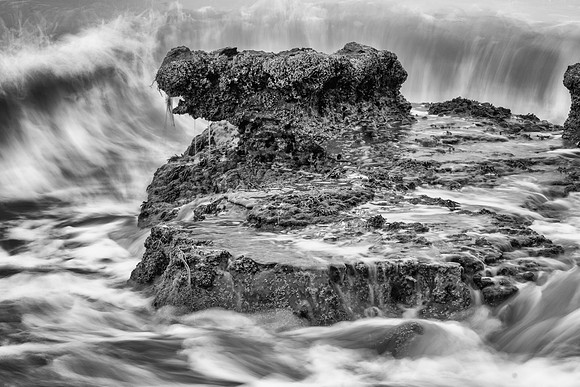 Splash