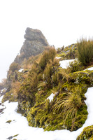 Mt Taranaki