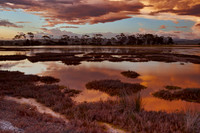 Ahuriri Estuary