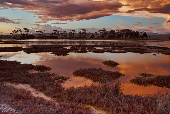 Ahuriri Estuary