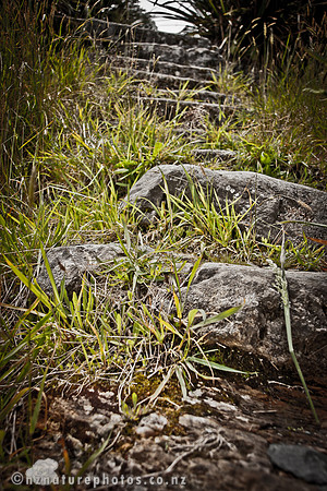 Stairway to the ruin
