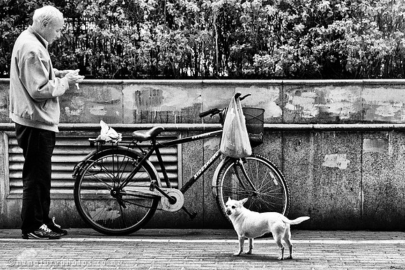 A man and his dog