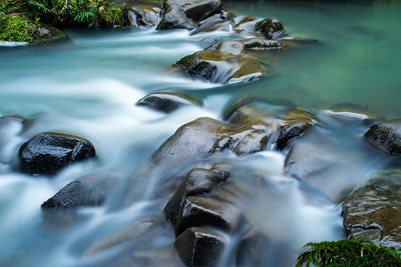 Mokoroa Stream
