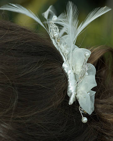 Detail shot- hairclip