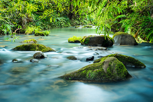 Dripping- downstream of the Mokoroa Falls