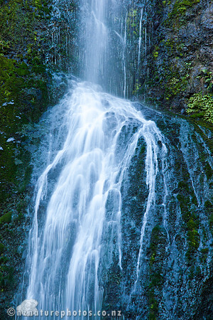 Drenched