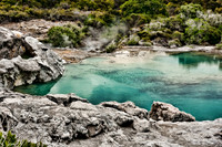 Wild NZ: Hot Pool