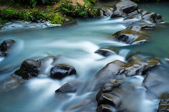Mokoroa Stream