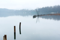 Misty Morning