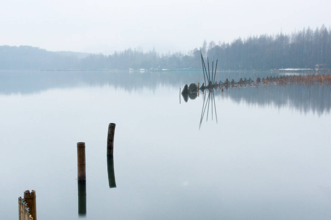 Misty Morning