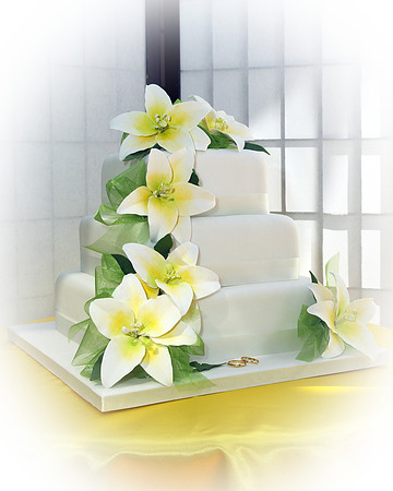 Cake 2